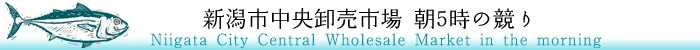 新潟市中央卸売市場　朝5時の競り