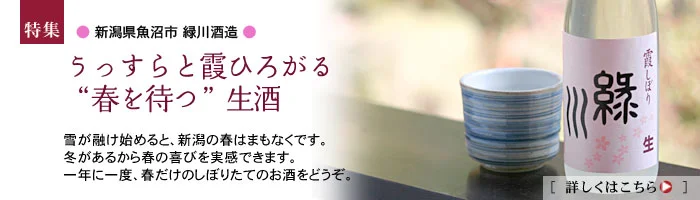 “春を待つ”生酒　緑川　霞しぼり
