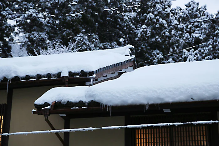 屋根の雪