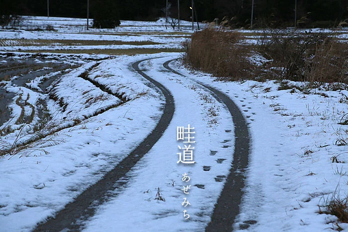 田んぼのあぜ道　畦道