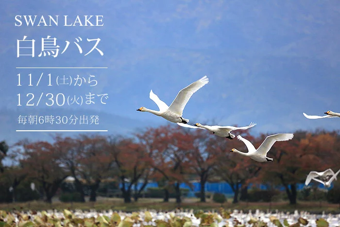 スワンレイク　白鳥バス運行中