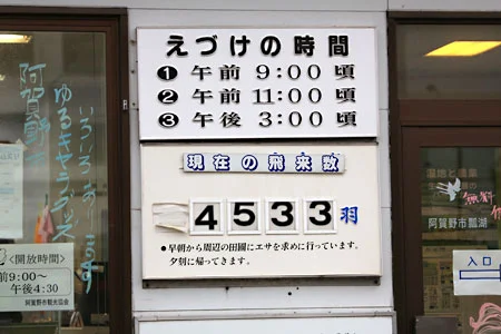 現在の飛来数表示　4533羽