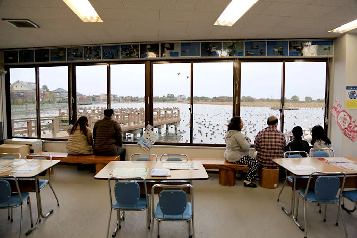 瓢湖観察舎お休み処