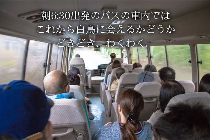 五頭温泉郷旅館協同組合が運行する早朝の白鳥見学バス　朝6時30分出発のバスの車内では、これから白鳥に合えるかどうか、ドキドキ、ワクワク
