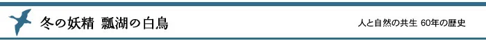 瓢湖 白鳥見学完全ガイド