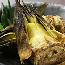 たけのこコース