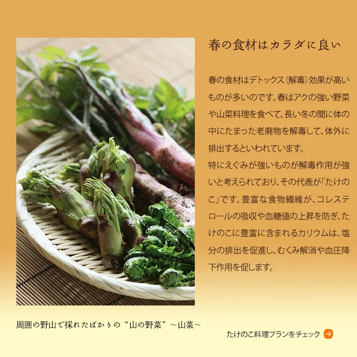 春の食材は身体に良い