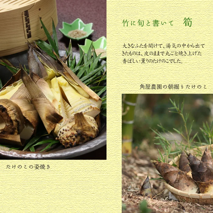 たけのこ料理の数々