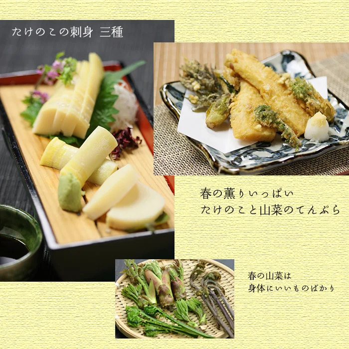 たけのこの刺身と天ぷら