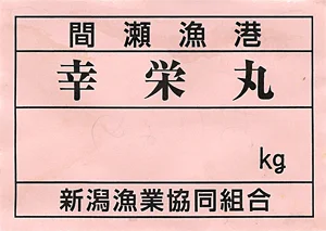 間瀬漁港のアイナメ