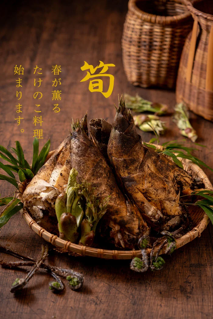 たけのこ料理