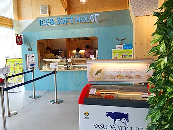 アイス＆ソフトクリーム