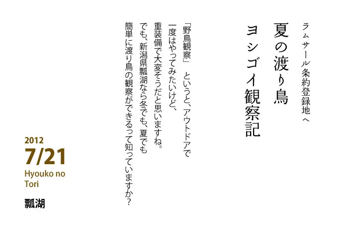 夏の渡り鳥ヨシゴイ観察記
