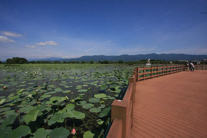ウッドデッキからは大きな青空と五頭連峰