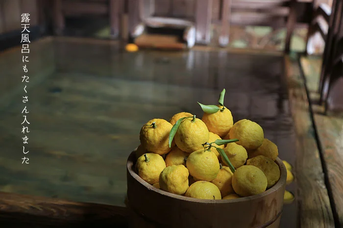 露天風呂にたくさんの柚子を入れました